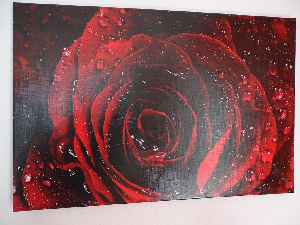 Gaestehaus Uezel FDH Dış mekan fotoğraf